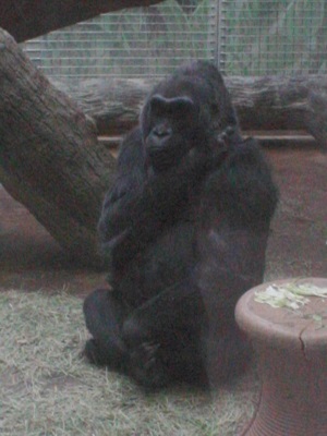 Columbus Zoo and Aquarium