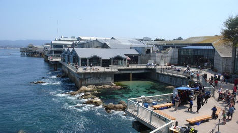 Rear view of Monterey Bay Aquarium